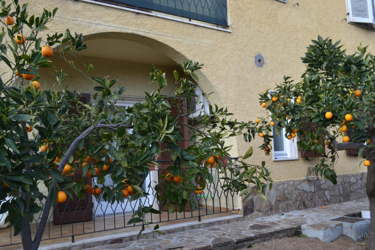 Etesia Bed & Breakfast Olbia Exterior photo